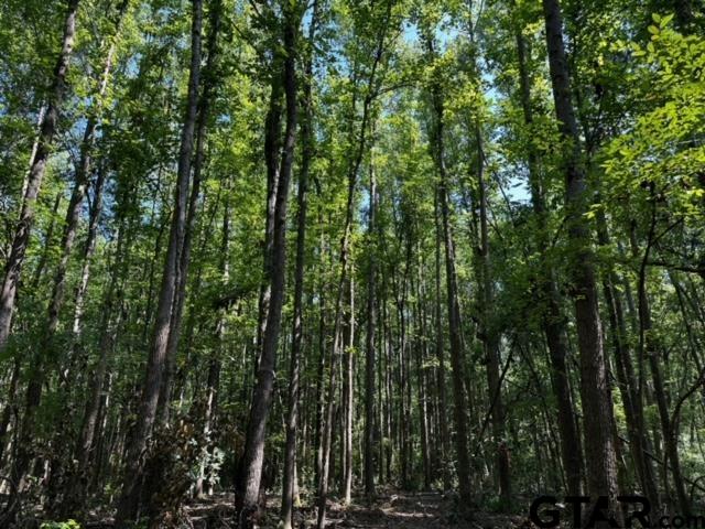 437 Tbd/private Road Van, TX 75790 - Photo 3 of 22