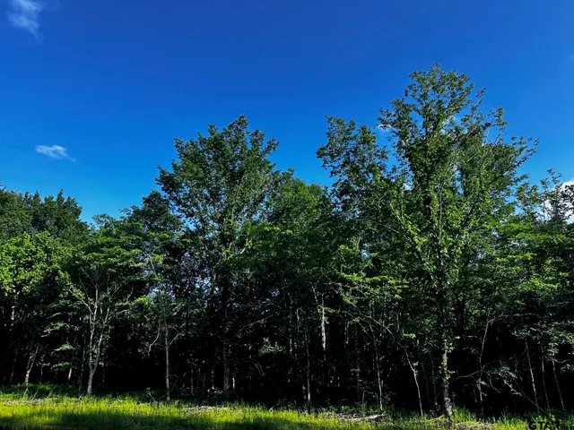 $250,000 | 437 Tbd/private Road, Van, TX 75790