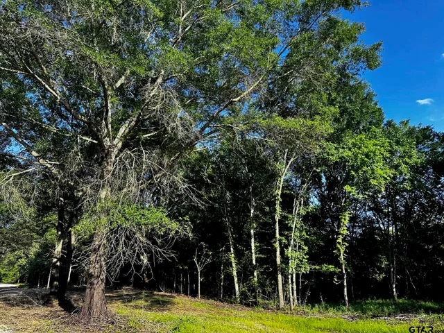 $250,000 | 437 Tbd/private Road, Van, TX 75790