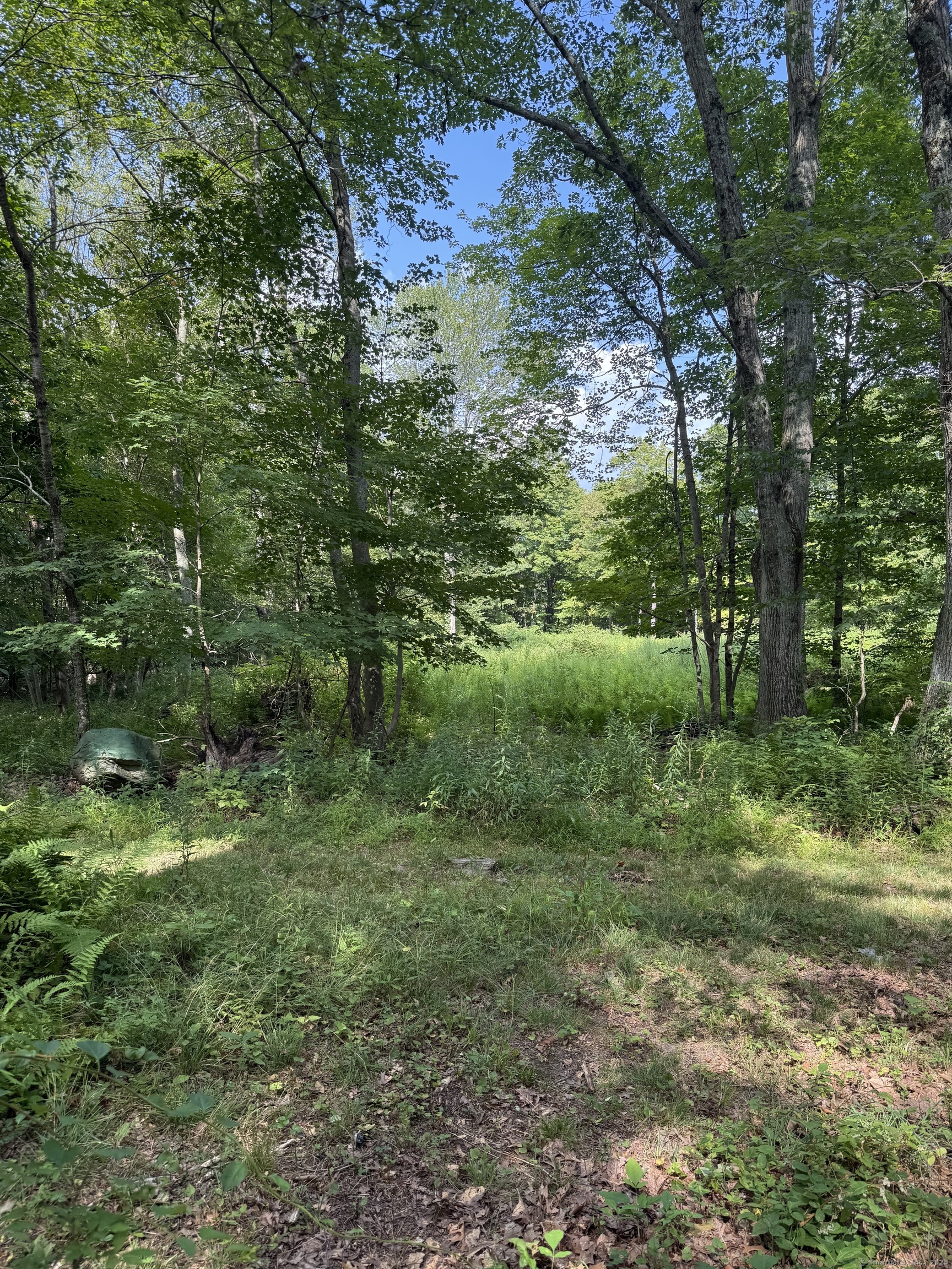 1394 North Road Killingly, CT 06241 - Photo 5 of 9