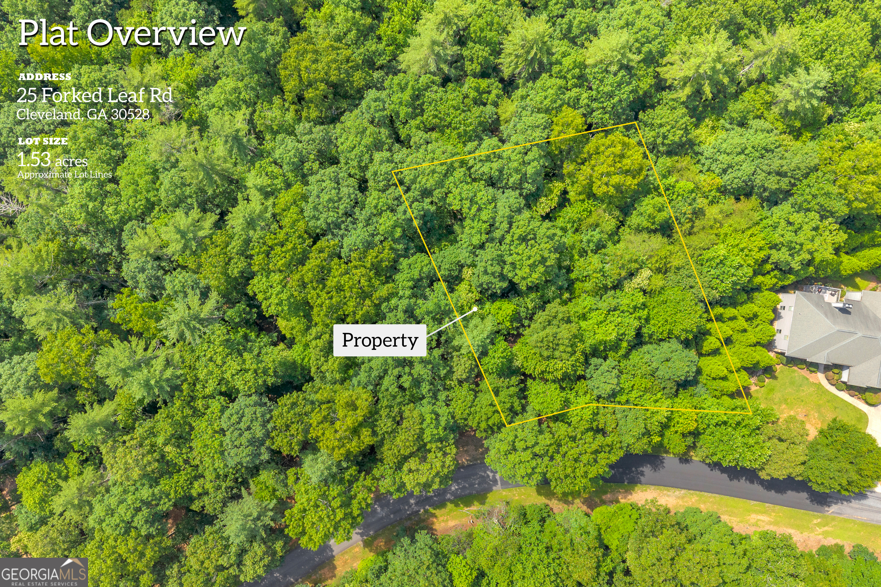 25 Forked Leaf Road Cleveland, GA 30528 - Photo 5 of 48