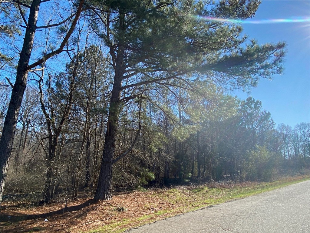 Lot 4 Blount Road Belton, SC 29627 - Photo 2 of 2