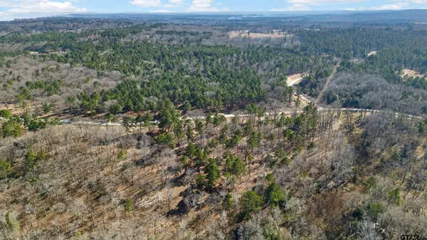 $235,000 | 3200 Shadow Pine Drive, Larue, TX 75770