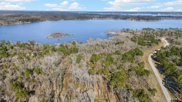 a view of a lake with houses in the back