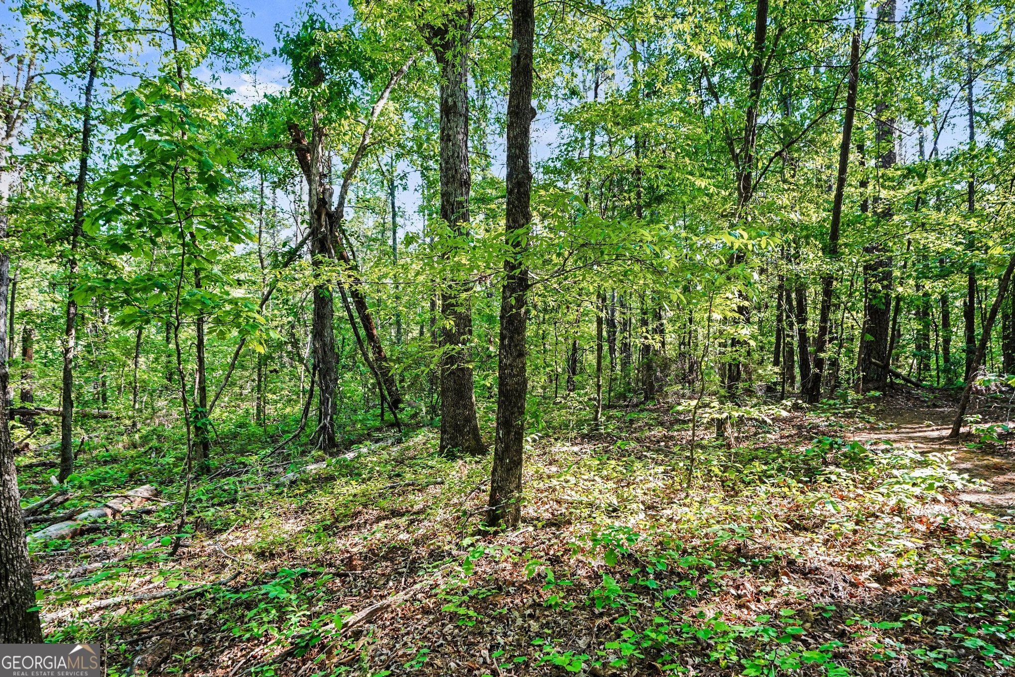 0 Ham Road Jackson, GA 30233 - Photo 4 of 20 a big yard with lots of green space and trees