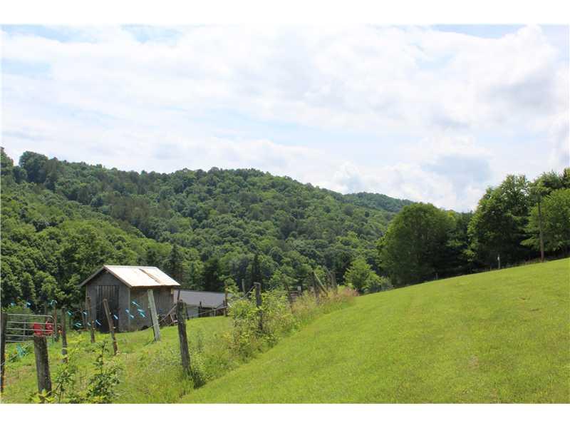 905 Roberts Run Road Holbrook, PA 15341 - Photo 5 of 25 Land/Lot.