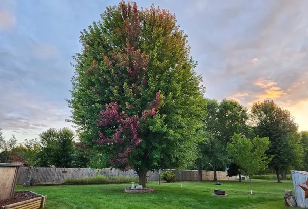 $395,500 | 409 Savannah Trail, Pardeeville, WI 53954