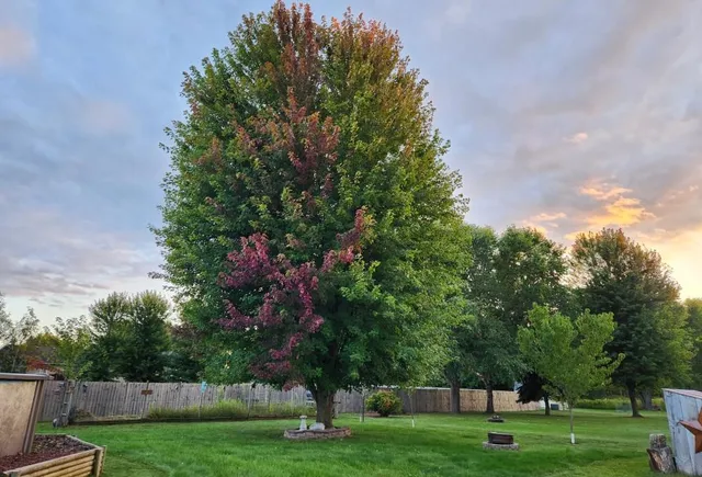 $395,500 | 409 Savannah Trail, Pardeeville, WI 53954