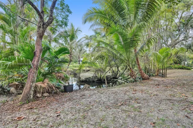 a backyard of a house with lots of trees