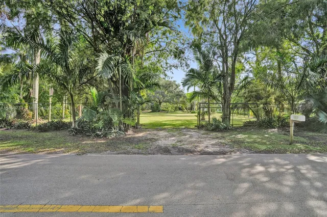a view of a yard with large trees