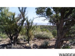 9999 North Trap Spgs Road Hackberry, AZ 86411 - Photo 16 of 36 Gallery Image 16