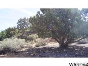 9999 North Trap Spgs Road Hackberry, AZ 86411 - Photo 28 of 36 Gallery Image 28