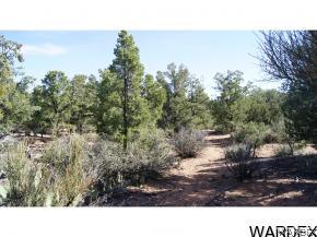 9999 North Trap Spgs Road Hackberry, AZ 86411 - Photo 4 of 36 Gallery Image 4