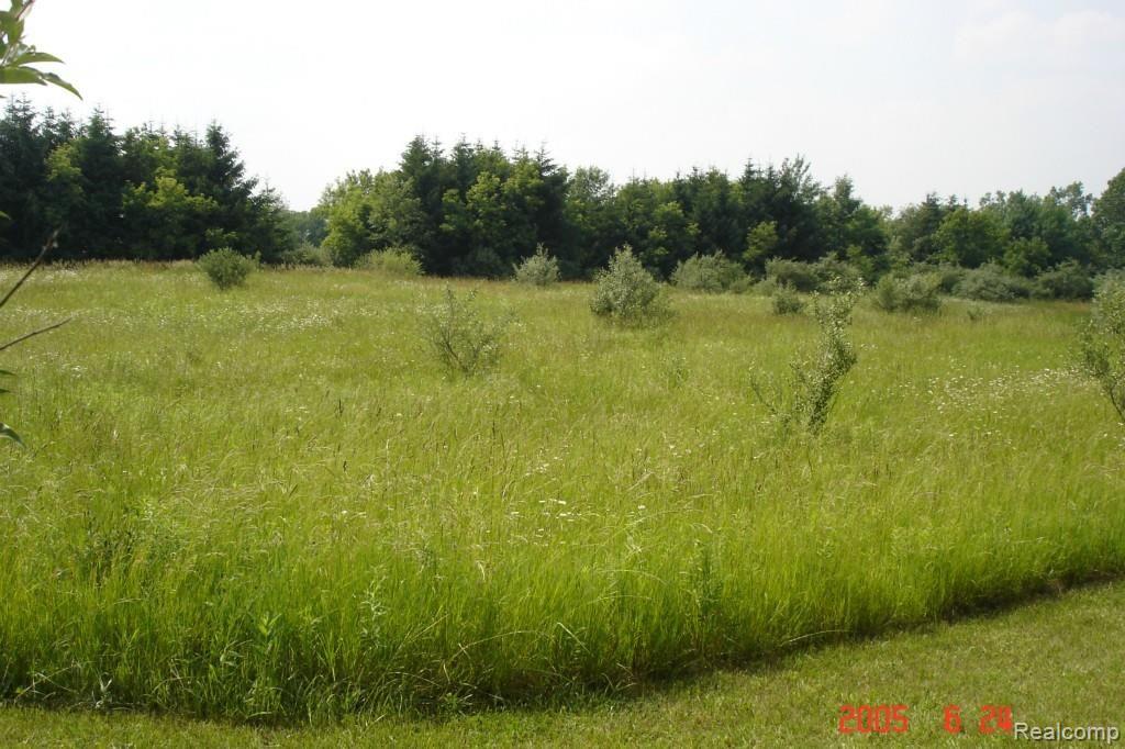 5931 Lippincott Road Lapeer, MI 48446 - Photo 34 of 54 Acreage W. 1