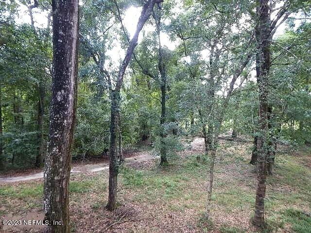 2930 Ravines Road, Unit 1229 Middleburg, FL 32068 - Photo 7 of 12 Ravines balcony view