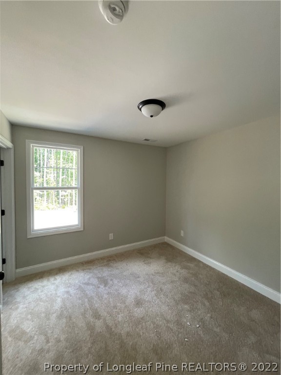 2937 Wire Road Erwin, NC 28339 - Photo 10 of 28 Gallery Image 10