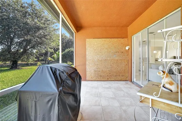 a view of backyard with trampoline