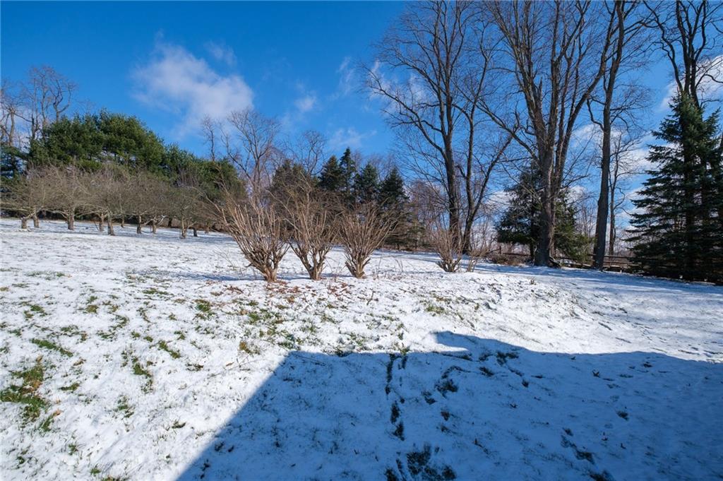 346 Wolf Run Road Industry, PA 15052 - Photo 24 of 25 a view of a yard covered with snow in front of house