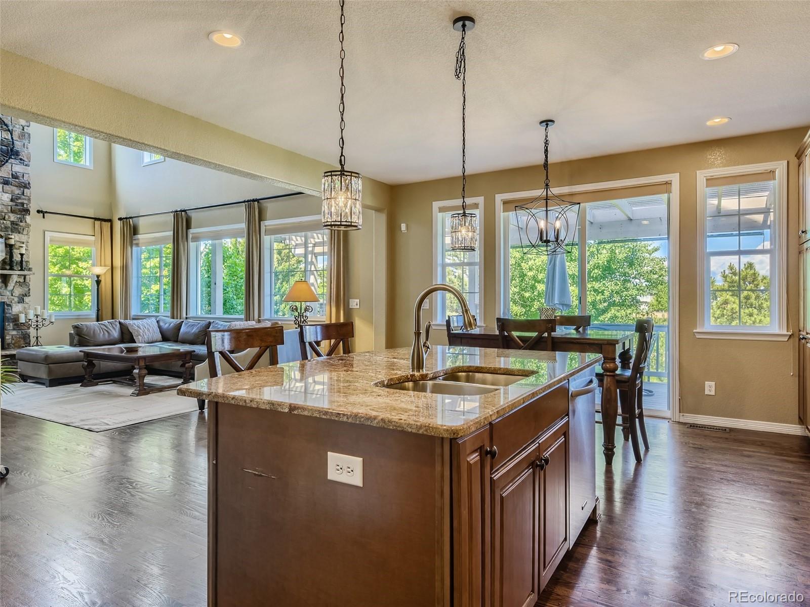 10953 Ashurst Way Highlands Ranch, CO 80130 - Photo 10 of 35