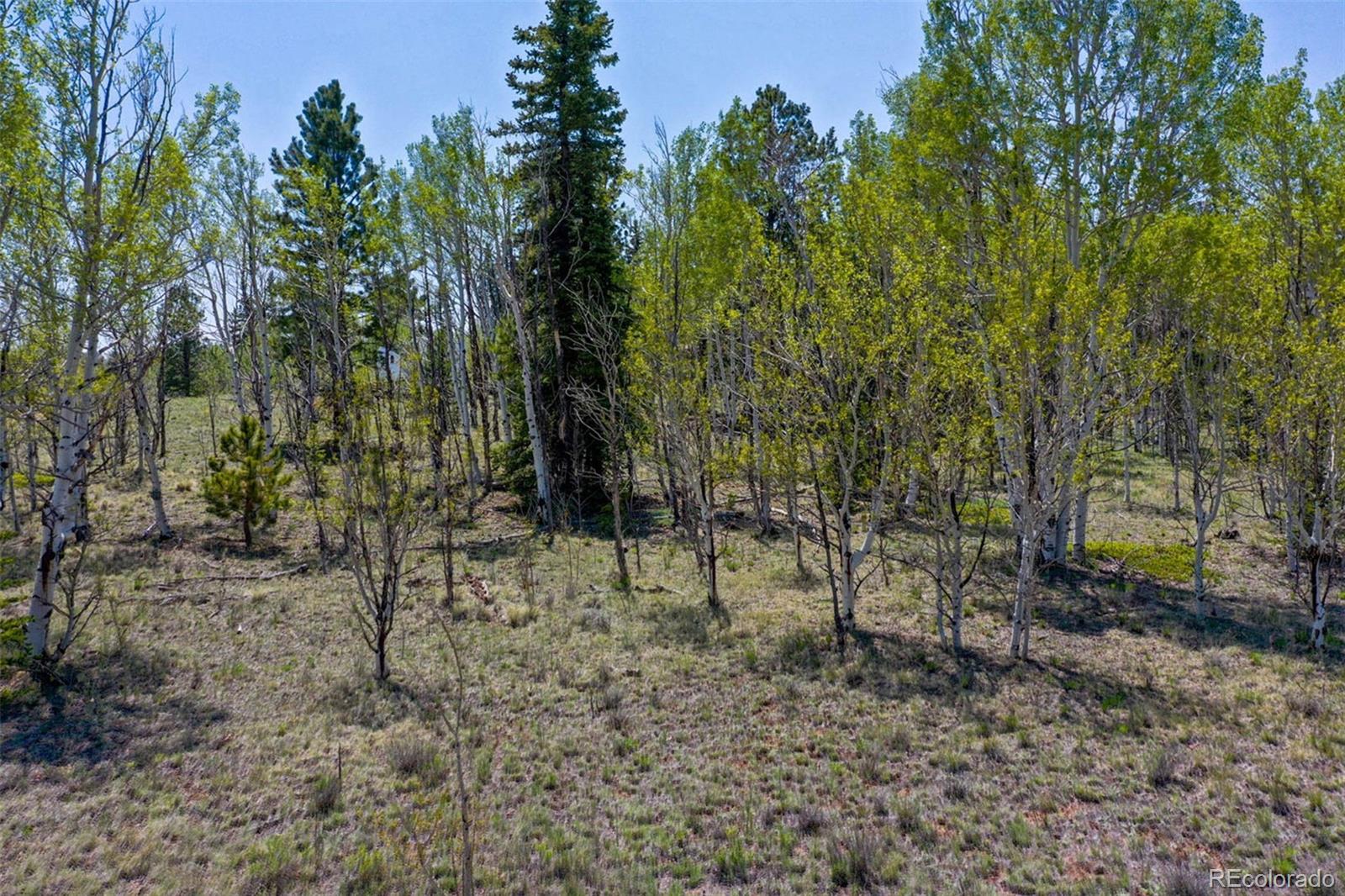 1248 Frees Loop Hartsel, CO 80449 - Photo 3 of 22 Gallery Image 3