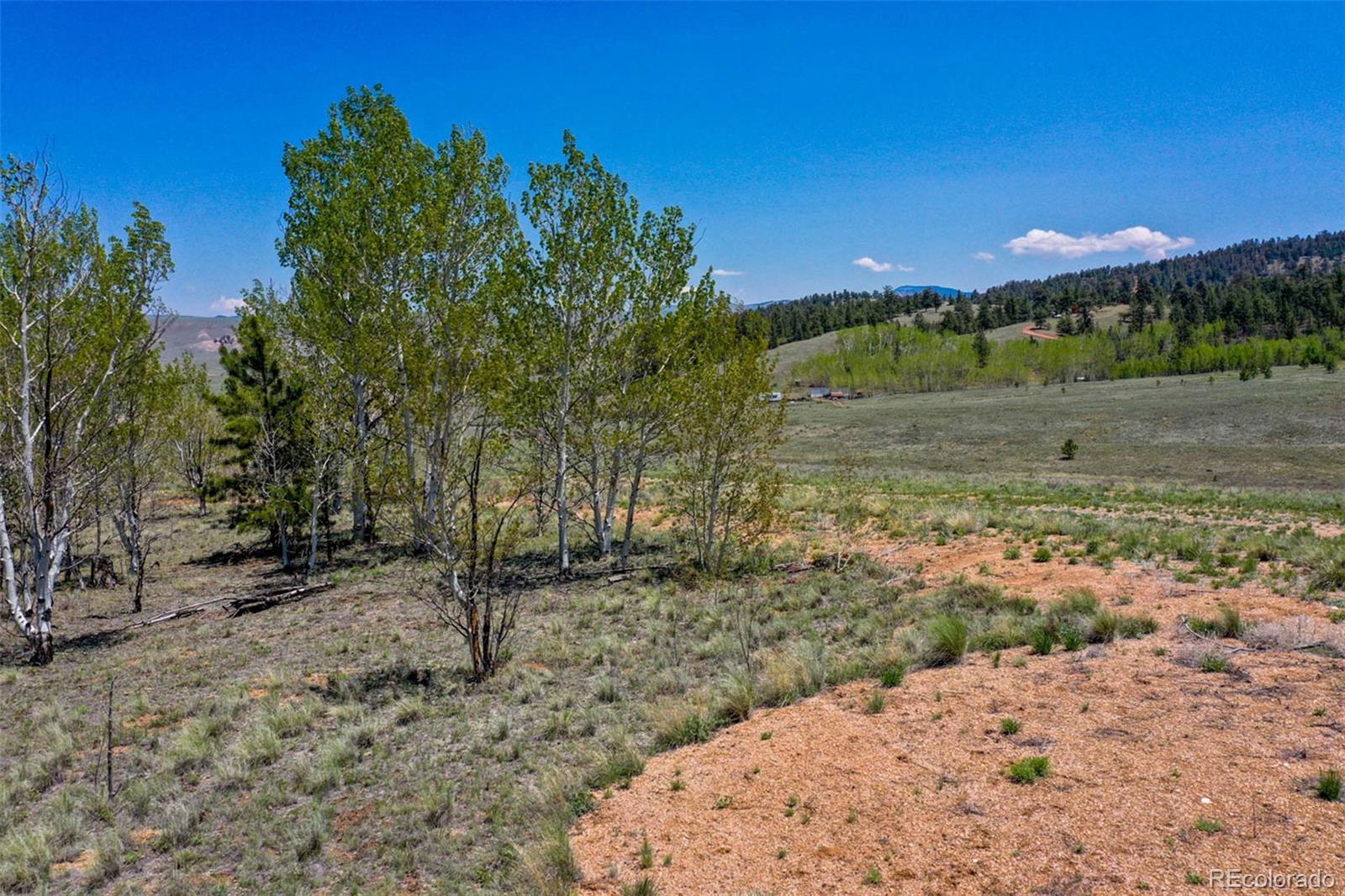 1248 Frees Loop Hartsel, CO 80449 - Photo 5 of 22 Gallery Image 5