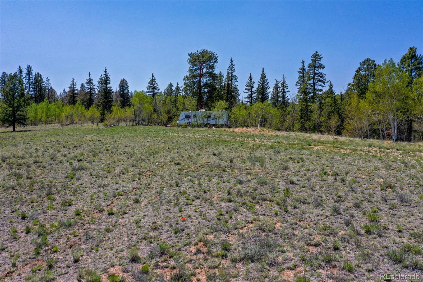 1248 Frees Loop Hartsel, CO 80449 - Photo 6 of 22 Gallery Image 6