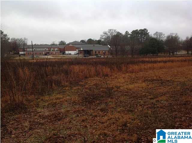 2695 Main Street Brent, AL 35034 - Photo 1 of 8