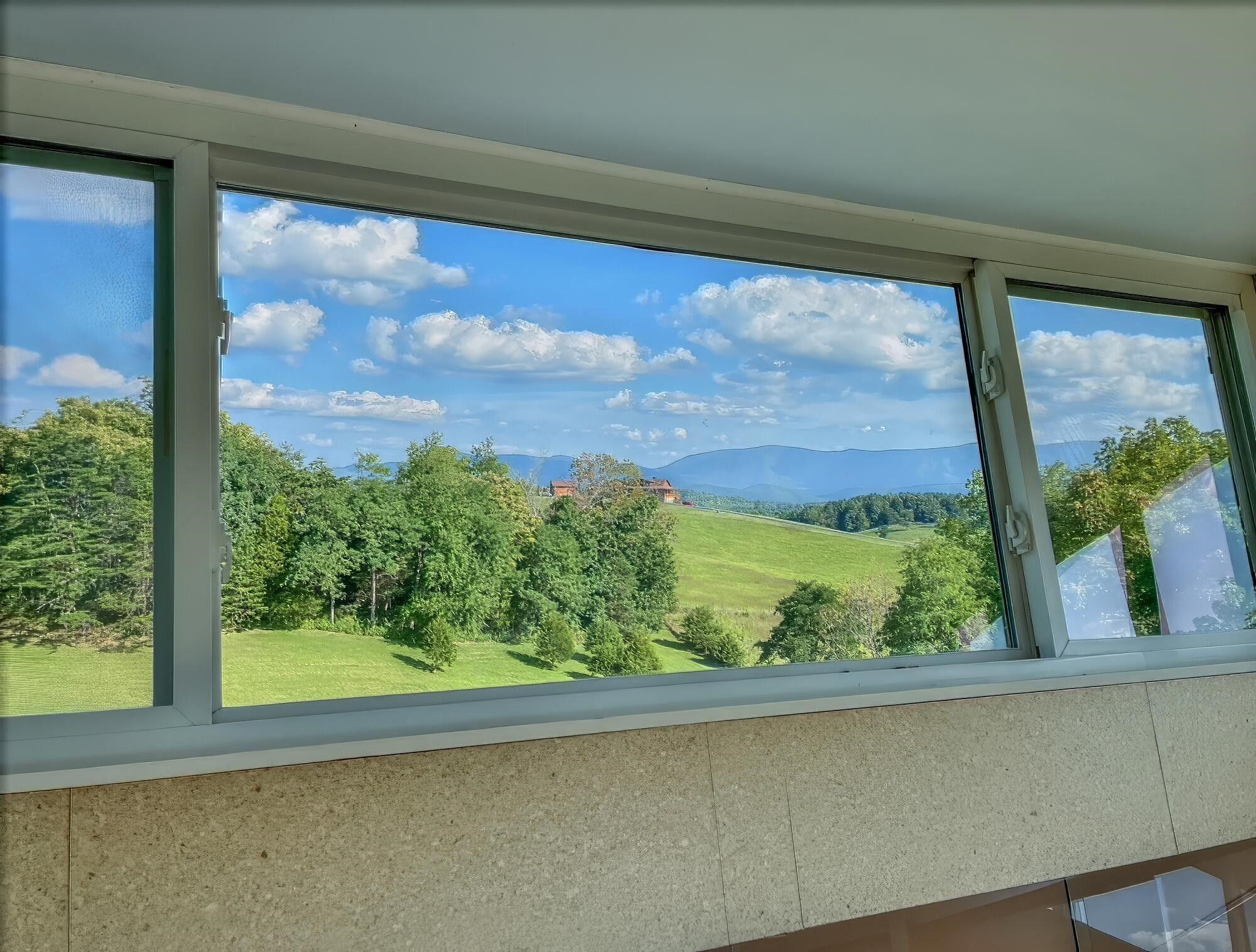 4745 Plank Road Natural Bridge, VA 24578 - Photo 61 of 75 a view of a back yard from a window