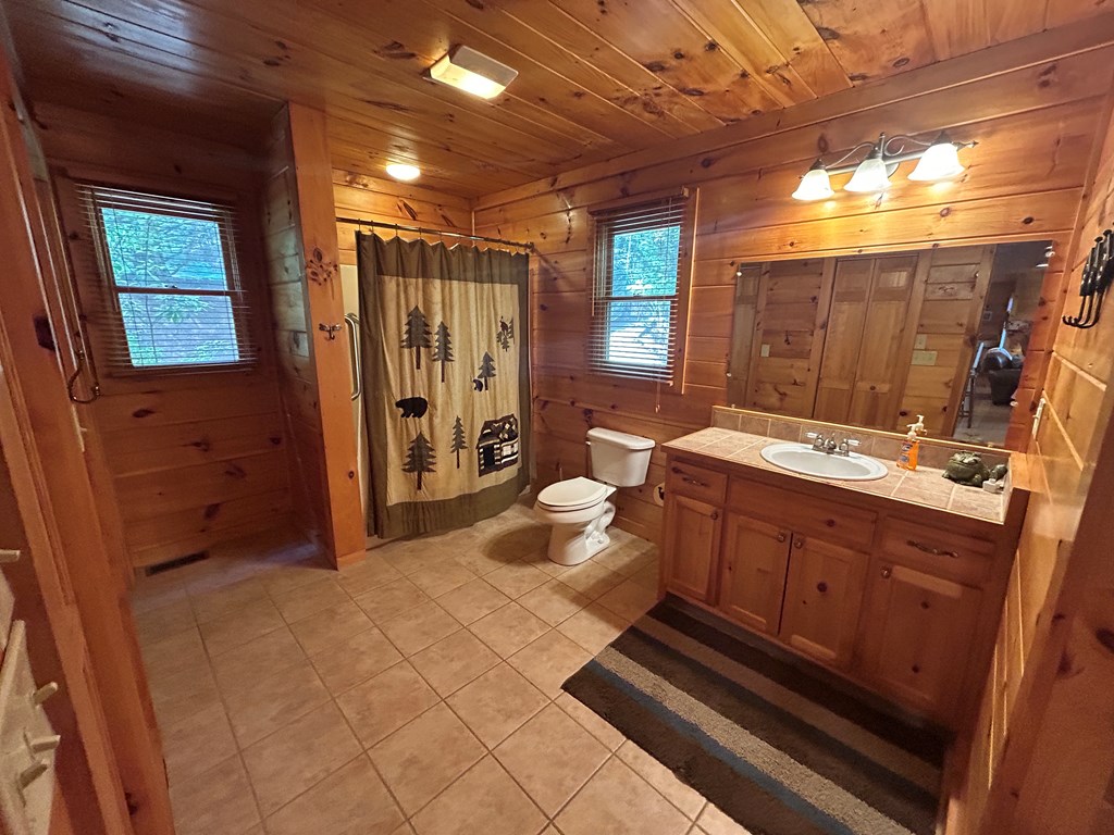 603 Red Berry Ridge Road Blue Ridge, GA 30513 - Photo 64 of 96 Gallery Image 64