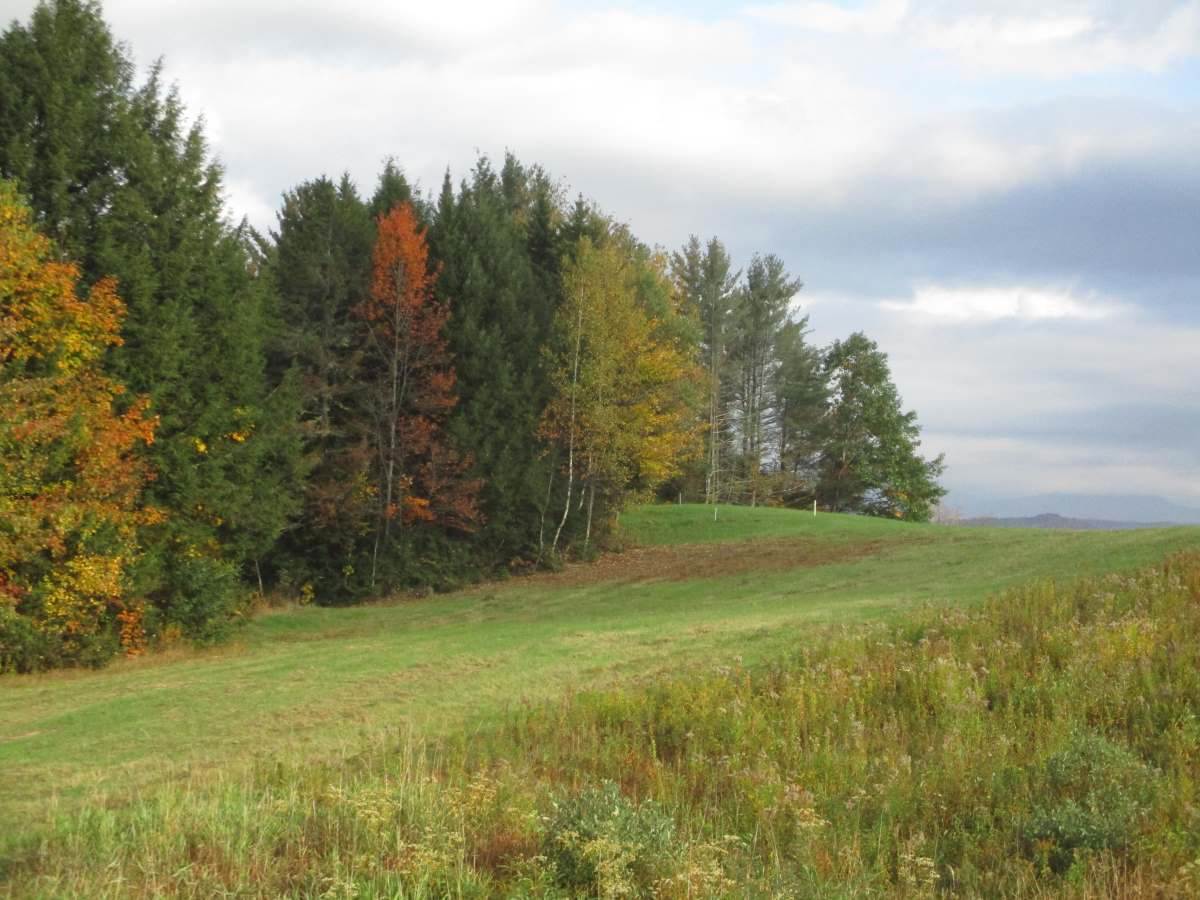 Lot 4 Beacon Hill Road Morristown, VT 05661 - Photo 1 of 5 Gallery Image 1