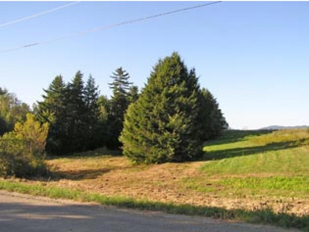 Lot 4 Beacon Hill Road Morristown, VT 05661 - Photo 2 of 5 Gallery Image 2