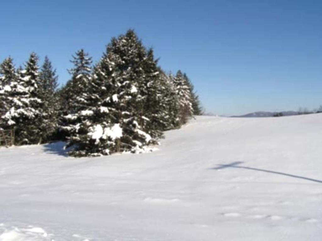 Lot 4 Beacon Hill Road Morristown, VT 05661 - Photo 5 of 5 Gallery Image 5