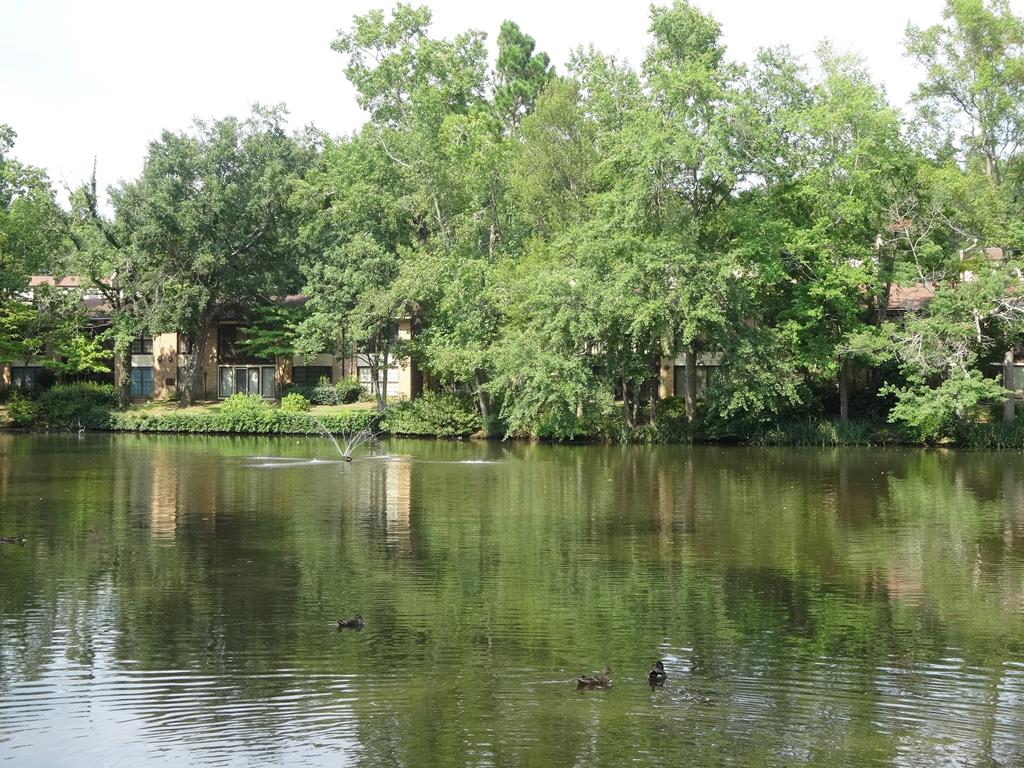 2525 Norris Road, Unit 113 Columbus, GA 31907 - Photo 29 of 40 a view of a lake view