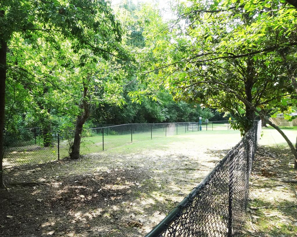 2525 Norris Road, Unit 113 Columbus, GA 31907 - Photo 35 of 40 a view of a yard with large trees