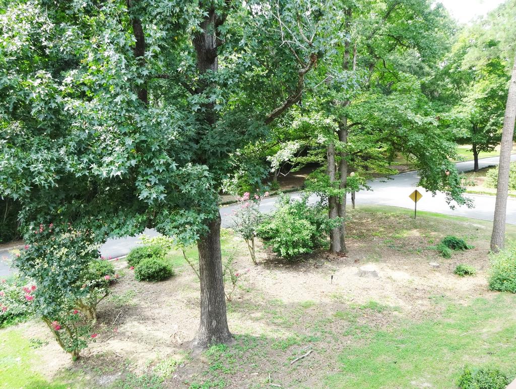 2525 Norris Road, Unit 113 Columbus, GA 31907 - Photo 36 of 40 a view of a yard with plants and a large tree