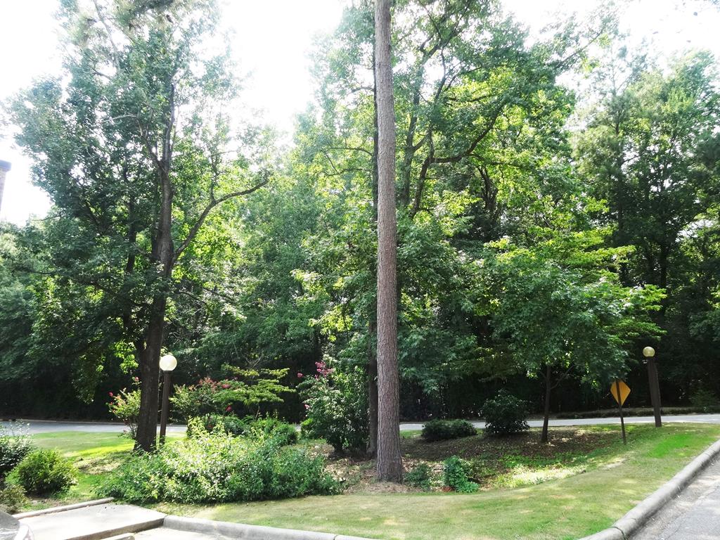 2525 Norris Road, Unit 113 Columbus, GA 31907 - Photo 37 of 40 a view of a garden with trees