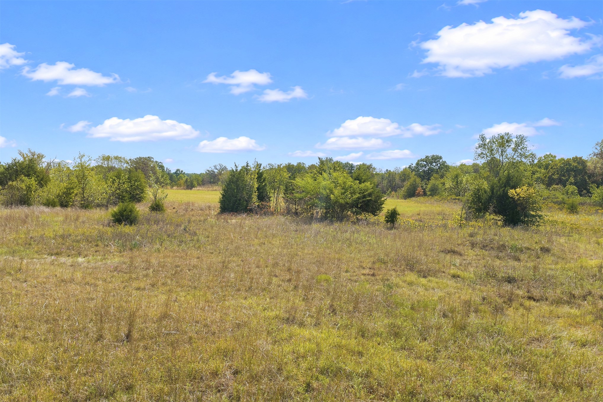162 Big Bear Road Lone Grove, OK 73443 - Photo 7 of 12 Expansive open field with natural vegetation and distant tree lines
