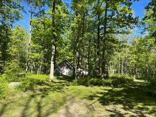 6835 Klein Road Hillman, MI 49746 - Photo 37 of 54 Gallery Image 37