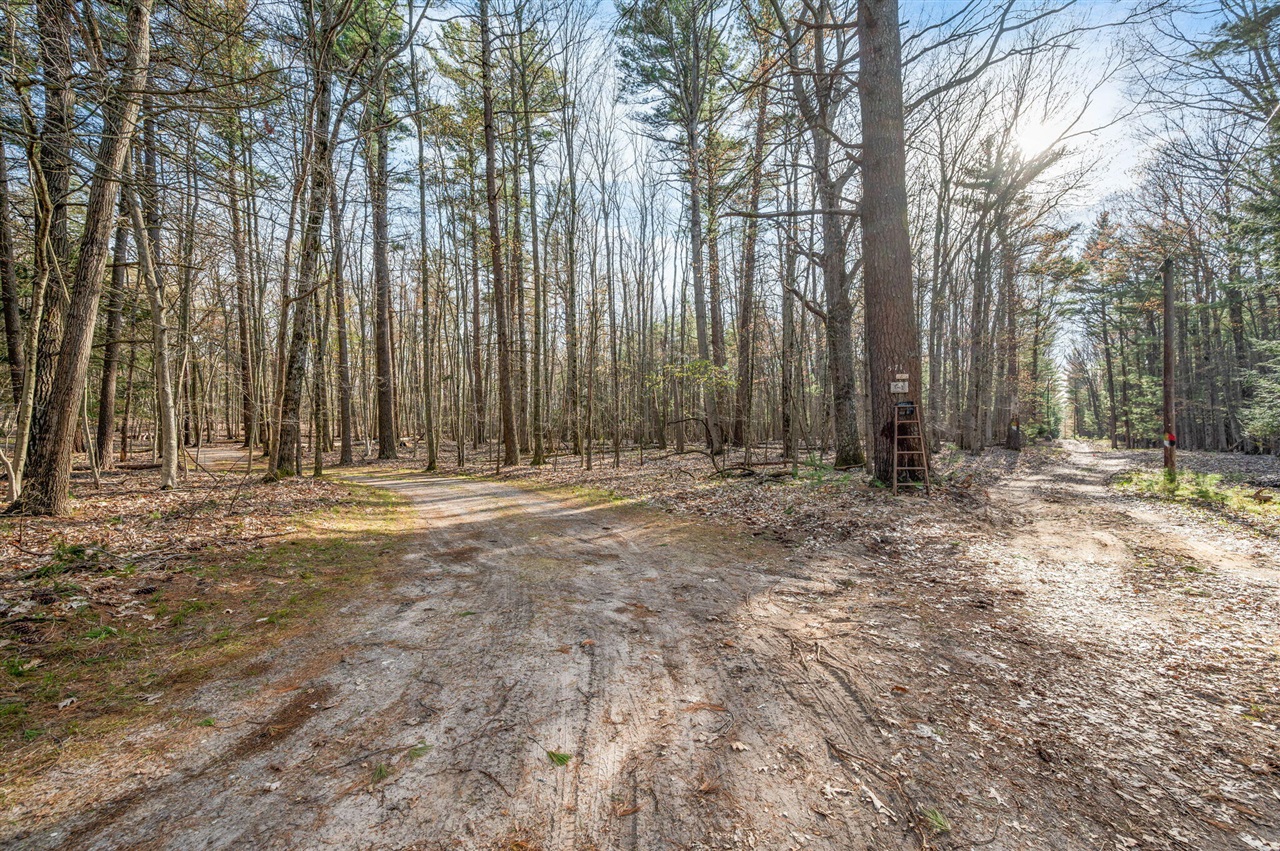 5717 West Pleasant Hill Road Free Soil, MI 49411 - Photo 89 of 90
