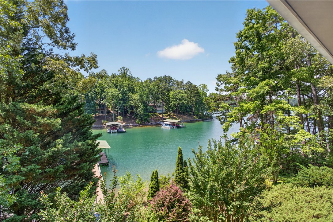 9 Lookout Lane Salem, SC 29676 - Photo 34 of 46 A tranquil lake view unfolds, framed by lush trees and distant boat docks.