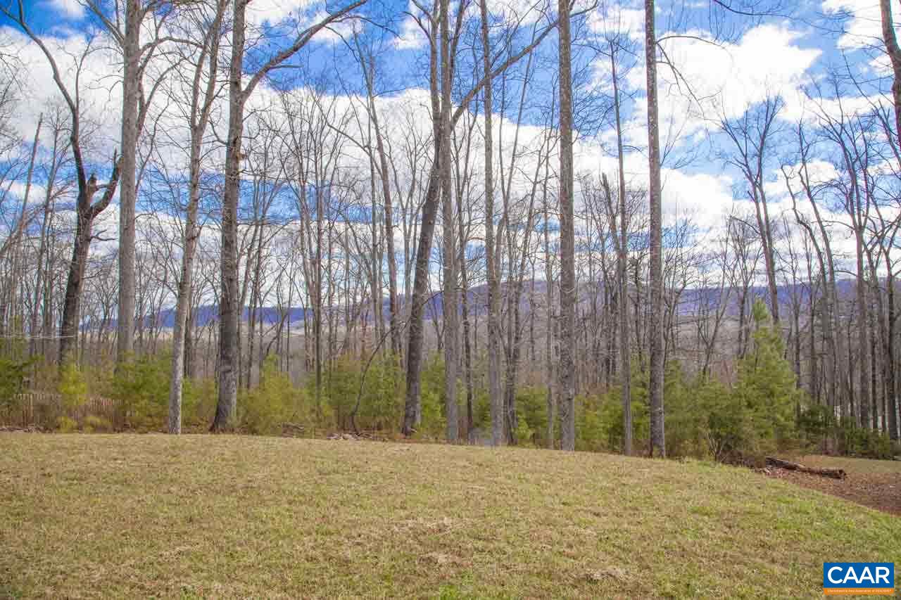 1981 Ridgetop Drive Charlottesville, VA 22903 - Photo 6 of 40 a view of outdoor space with trees