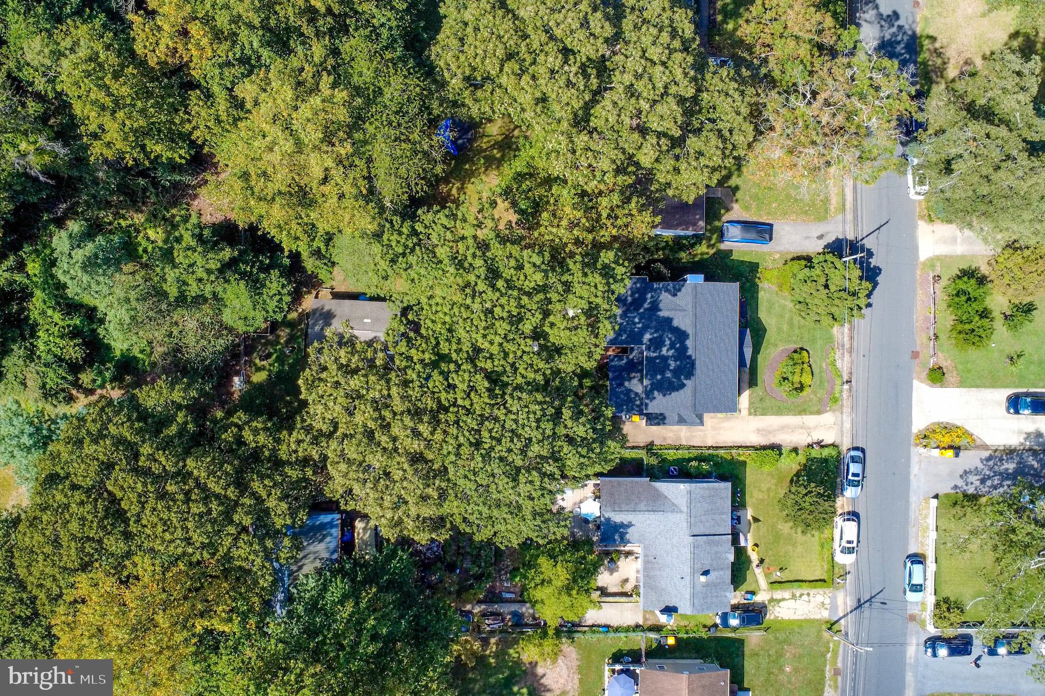 1155 Claire Road Crownsville, MD 21032 - Photo 56 of 62 Lush greenery surrounds charming homes.