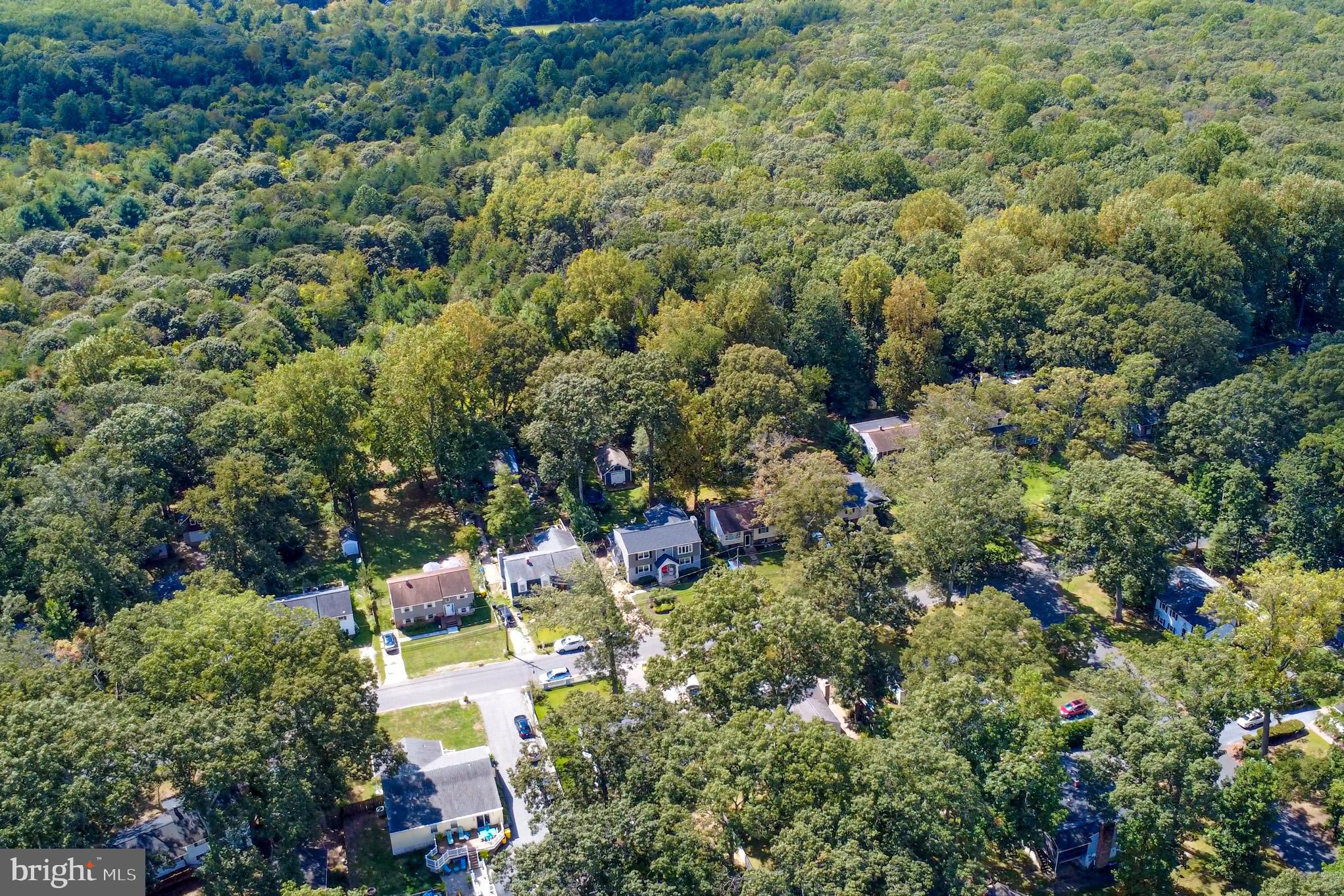 1155 Claire Road Crownsville, MD 21032 - Photo 58 of 62 Serene suburban oasis amidst lush greenery.