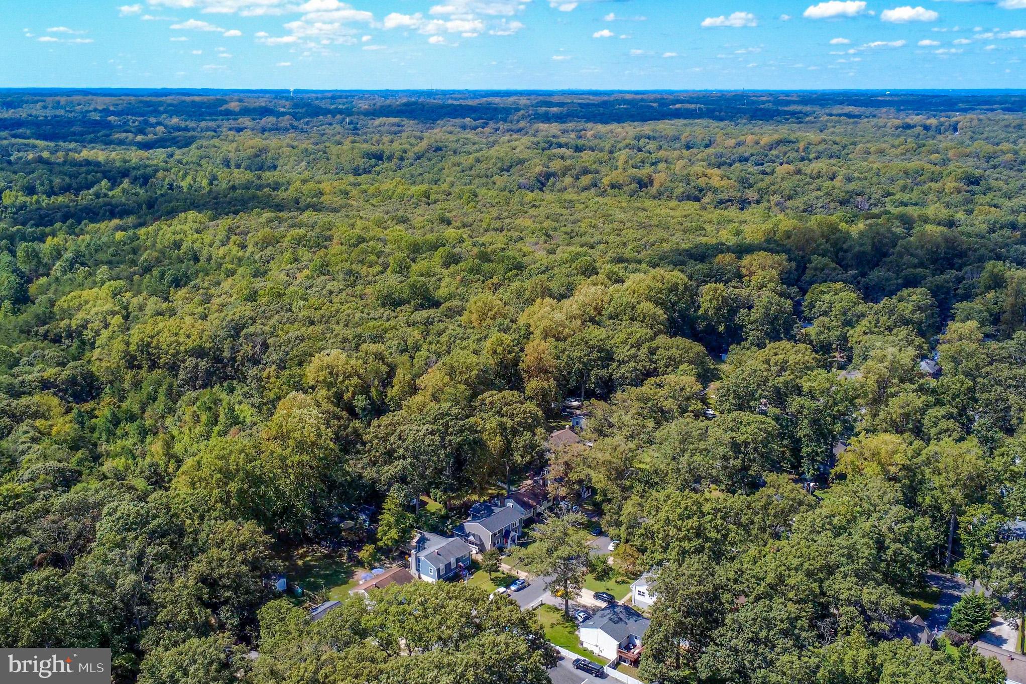 1155 Claire Road Crownsville, MD 21032 - Photo 59 of 62 Serene suburban oasis amidst lush greenery.