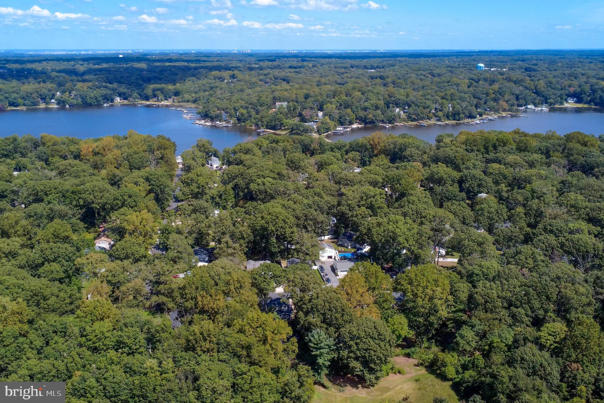 1155 Claire Road Crownsville, MD 21032 - Photo 60 of 62 Lush greenery meets serene waterscape.