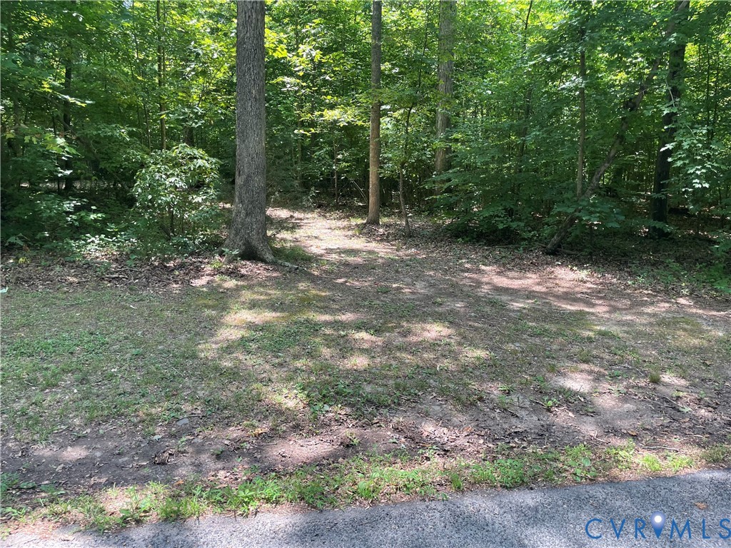 0 Tbd Bumpass, VA 23024 - Photo 3 of 8