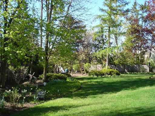 50 Locust Road Winnetka, IL 60093 - Photo 15 of 16 Gallery Image 15