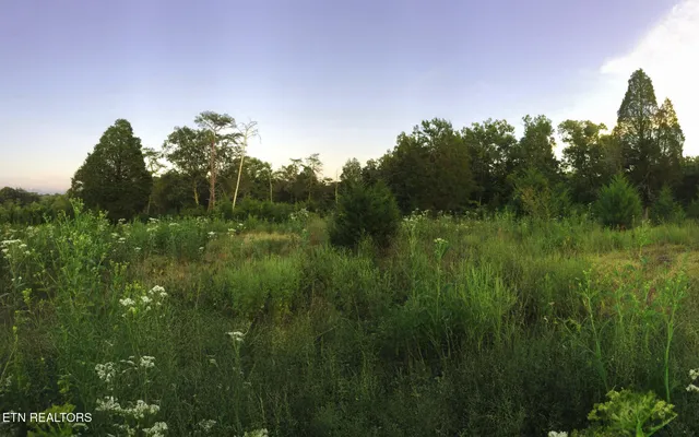 $279,900 | 10528 Thorngrove Pike, Strawberry Plains, TN 37871