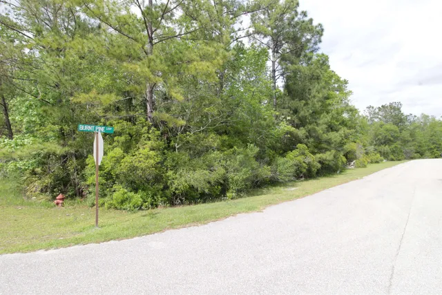 $32,000 | Lot 41 Burnt Pine Loop Street, Crawfordville, FL 32327