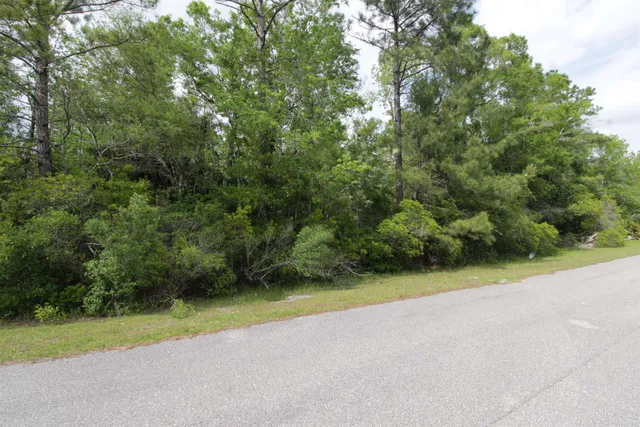 $32,000 | Lot 41 Burnt Pine Loop Street, Crawfordville, FL 32327